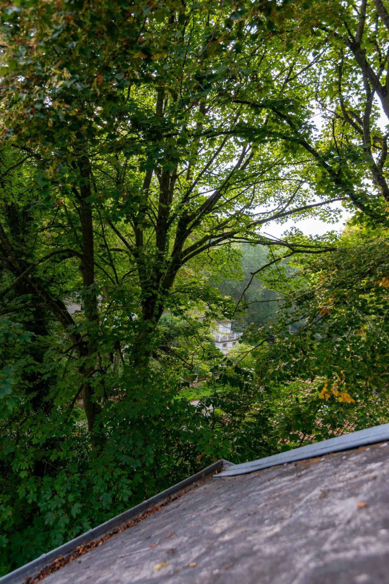 Chez Manou, Appt Spacieux Et Elegant Proche Mer Ault Exterior photo
